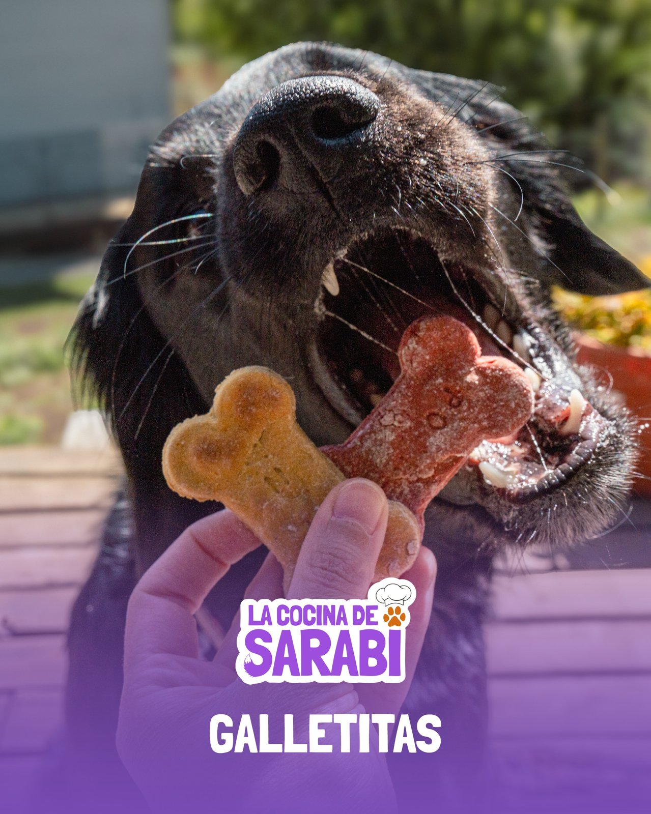 Galletitas de atún y caldo de huesos · 100 g