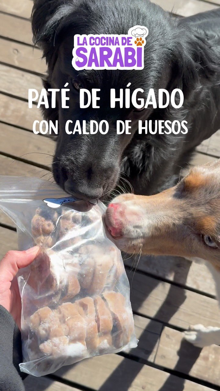 Paté de hígado con caldo de huesos · x12